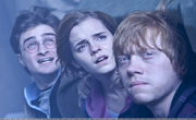 Rsz harrypotter7-三人组-part2.png
