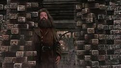 Hagrid.jpg