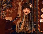 Harry mantello dell'invisibilità