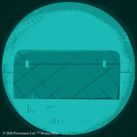 File:Book4 Ludo-Bagman.gif