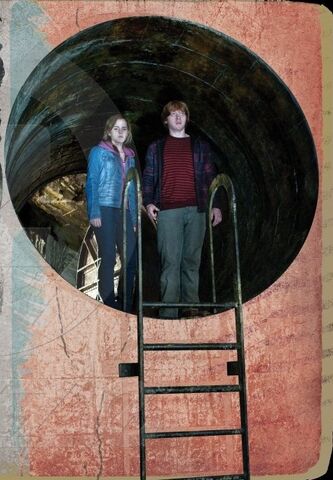 File:Zazzle-hp7-pt2-14-1-.jpg