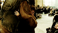 Harry and Hagrid 250.gif