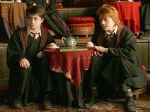 P3 Taseomancia Adivinación - Harry y Ron.jpg