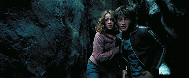 File:Harry Hermione in tunnel.jpg