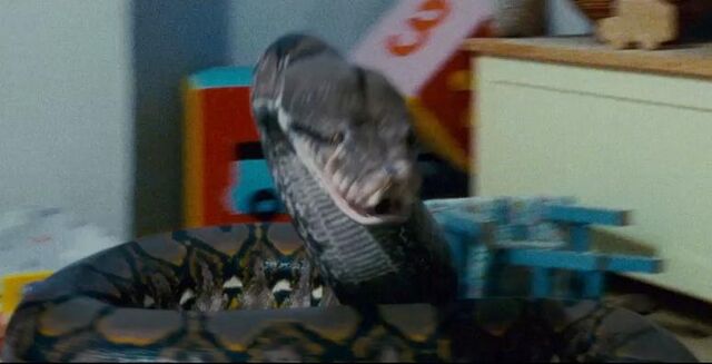 File:Dhnagini.jpg