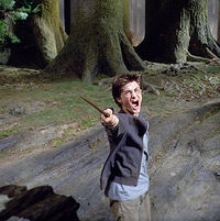 Harrypatronus.jpg