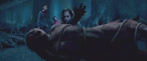 Incarcerous 786x442
