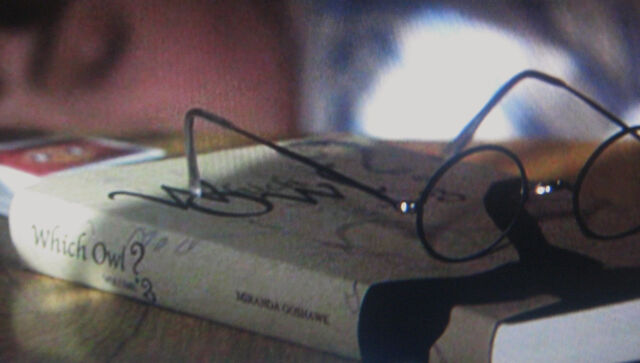 File:WhichOwlCropped.jpg