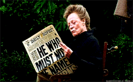 Maggie newspaper.gif