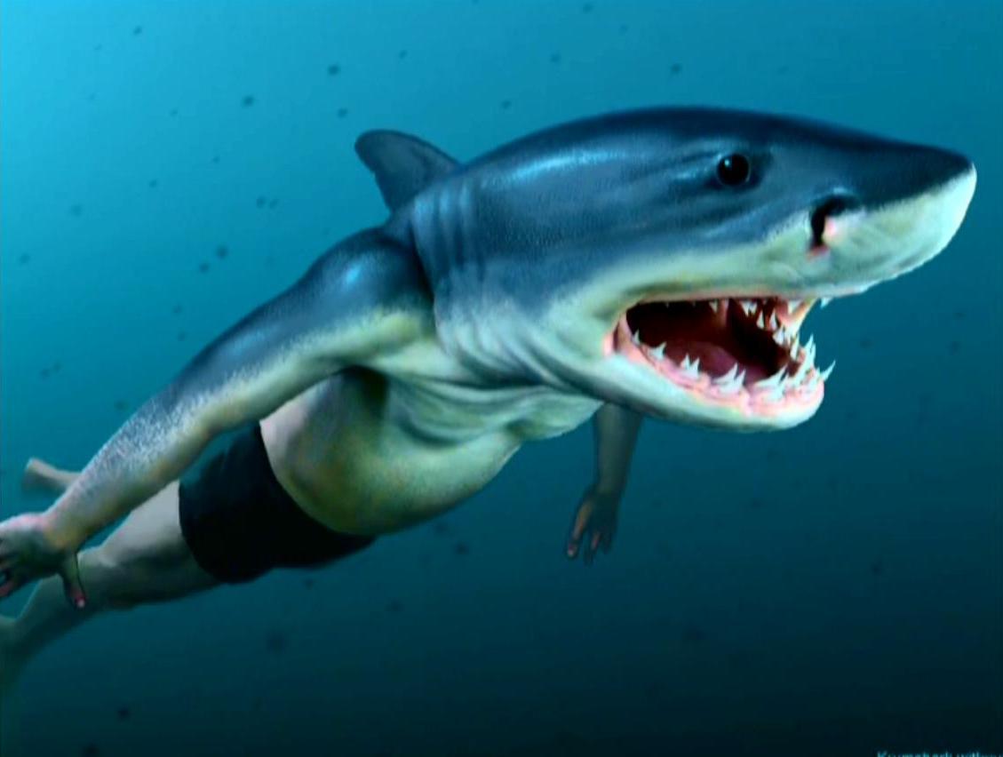 Image - Conceptual Artwork of Viktor Krum (Half-human, Half-shark).JPG