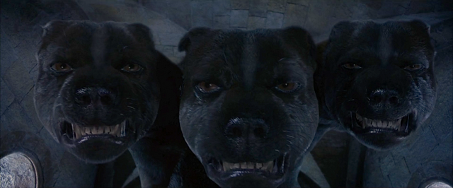 File:Fluffy the three-headed dog.png