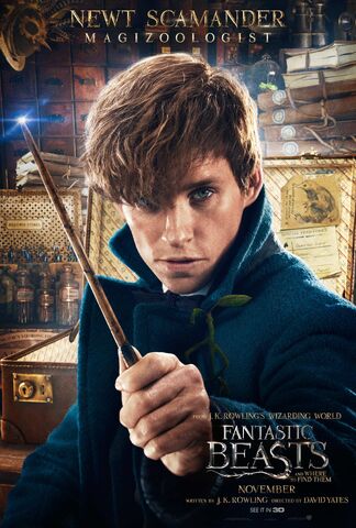 File:Fantastic-Beasts-and-Where-to-Find-them-Character-Posters-7.jpg