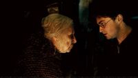 Harrybathilda.jpg