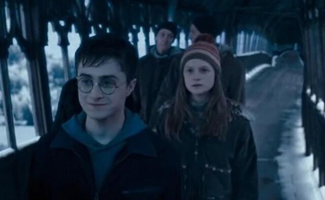 File:Ginny's shock.jpg