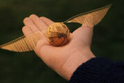 Snitch.jpg