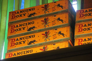 DancingDoxyBoxes