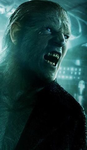 File:Greyback poster.jpg