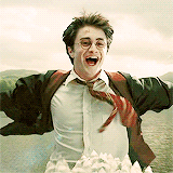 Happy harry