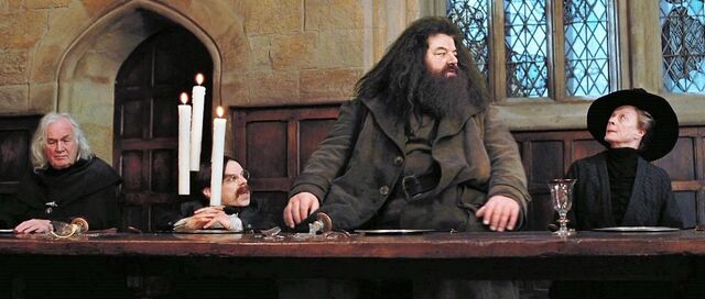 File:Harry-potter3 minerva feast.jpg