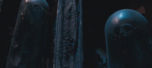 File:Grimmauld Place Shrunken Heads.jpg