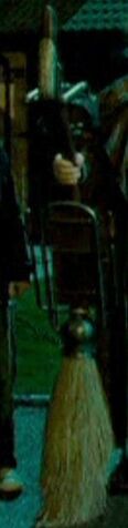 File:Moody broom OOTP 1.jpg