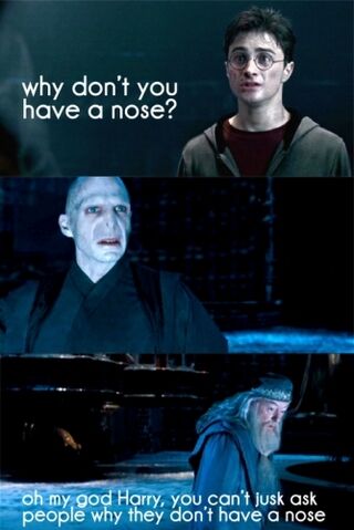 Bestand:Funny-Harry-Potter-picture-harry-potter-16342295-334-500.jpg