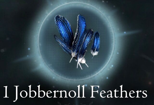 File:Jobbernoll Feathers FBCFWW.jpg