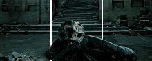 Nagini.gif