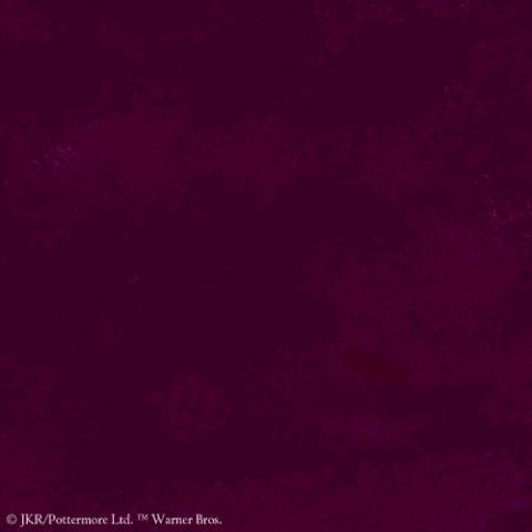 File:Book6 Snape logo (1).gif