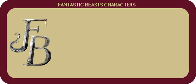File:FBcharacterbox.png