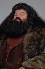 Rubeus Hagrid.jpg