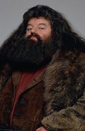 Rubeus Hagrid.jpg