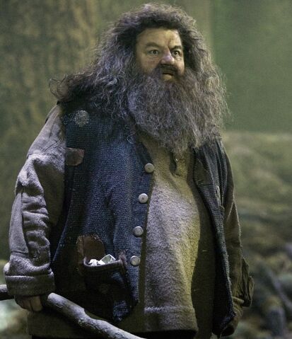 Bestand:Rubeus Hagrid.jpg