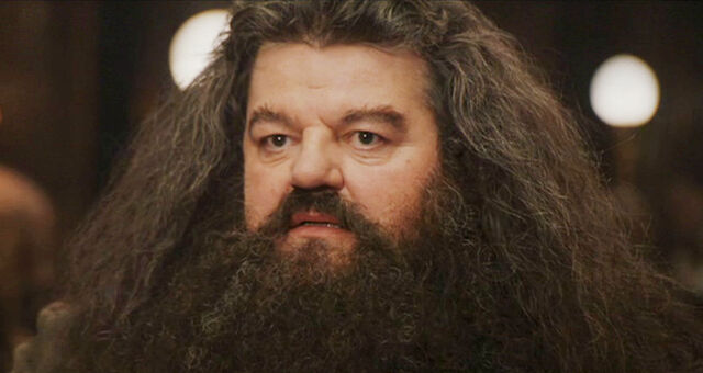 File:Rubeus Hagrid.jpg