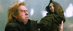 Pettigrew voldemort