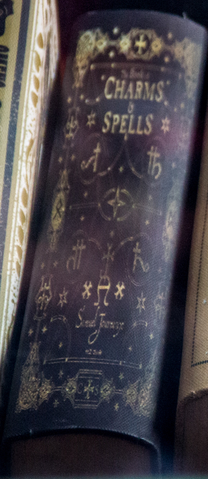 File:TheBookOfCharmsAndSpells.png