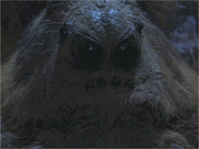 Aragog.gif