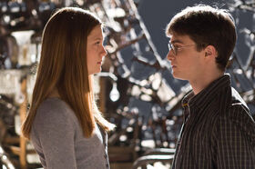 Ginny i harry pokoj.jpg