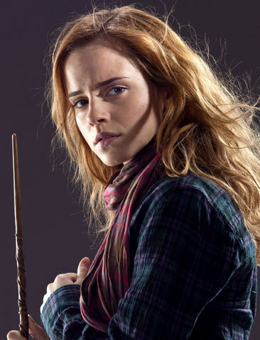 File:Hermione Scarf TDH.png