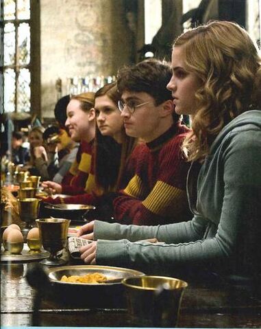 File:Normal reactiontoquidditchron.jpg