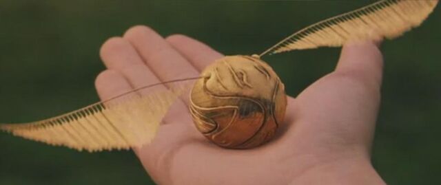 File:Snitch 2.jpg