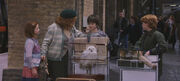 Rencontre de Harry Potter avec la famille Weasley.jpg