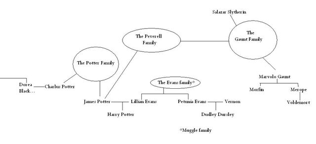 File:Universal Family Tree Idea.jpg
