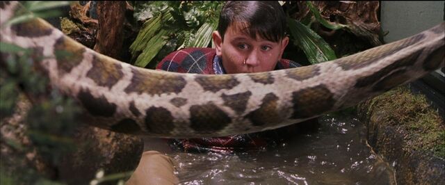 File:Harry-potter1-Dudley snake.jpg