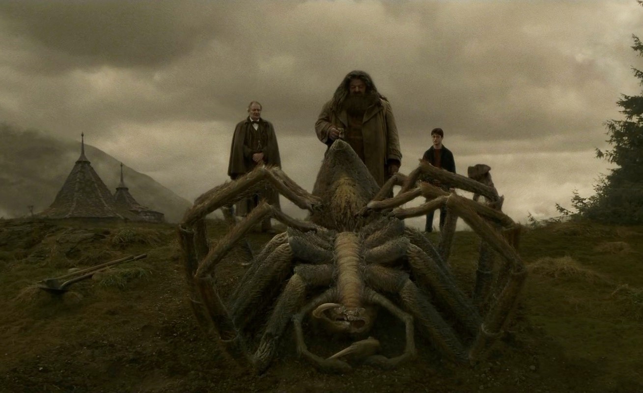 Image Aragog's funeral 2.jpg Harry Potter Wiki FANDOM powered by