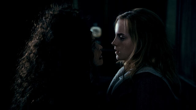 File:Hermione bellatrix.jpg