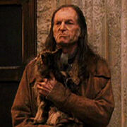 Argusfilch