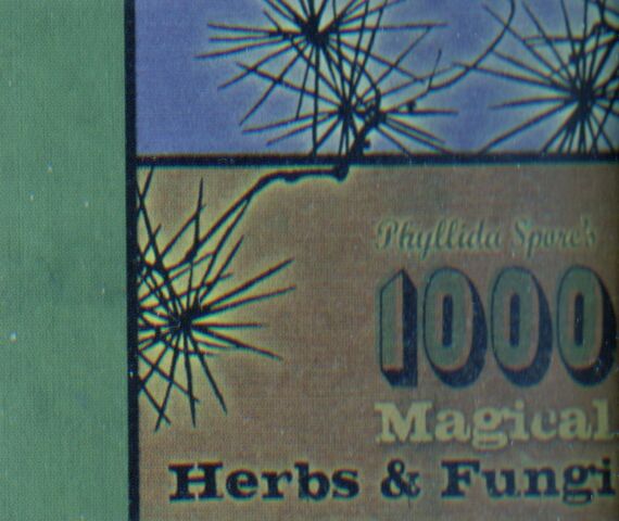 File:1000MagicalHerbsandFungi.jpg