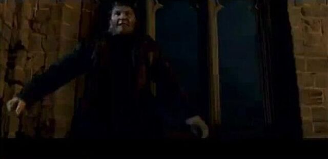 File:Greyback.jpg