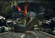 Phoenix fight.jpg